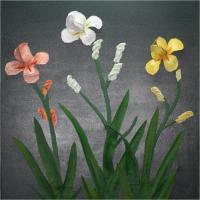cmfa_yellow_white_peach_Iris.jpg